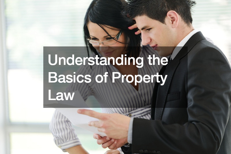 Understanding the Basics of Property Law